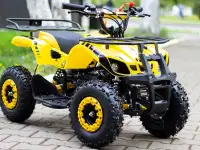 Квадроцикл Torino 49cc, фотография 4