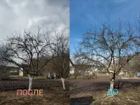 Садовник, уход за садом, фотография 4