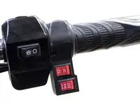 Грузовой электротрицикл rutrike d4 next ii 60v1500w, фотография 2