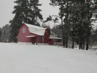 Дом на сутки, часы, недели, фотография 2