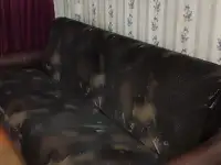 Сдам квартиру, Беларусь