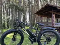Электровелосипед shtenli allroad pcx10 (внедорожные колеса), фотография 4