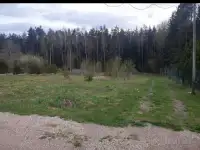 Участок в садовом товариществе Зодиак-Ворот, фотография 4