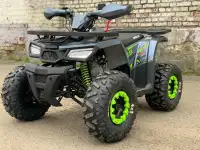 Квадроцикл ATV Motoland Wild 125 без ПТС (к-т з/ч), фотография 9