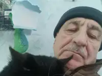 Милых котиков ответственному человеку