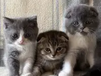 З, фотография 6