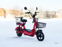 Электровелосипед AVM DELTA Pro, фотография 4
