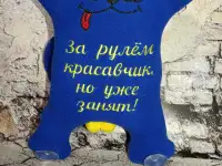Игрушки в авто автокот
