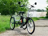Электровелосипед AVM E-ALFA TRIKE 24, фотография 9