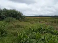 Продам участок, Пуховичский ройон, аг  Горелец