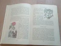 Книга Целебные кладовые природы (Минск, 1979 год), фотография 4