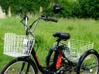 Электровелосипед AVM E-ALFA TRIKE 24, фотография 10