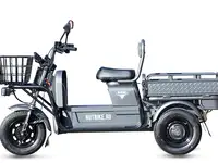 Грузовой электротрицикл rutrike баркас 740 60v1000w, фотография 9