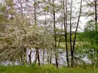 Недвижимость, Г. ул. Юбилейная д.29, фотография 3