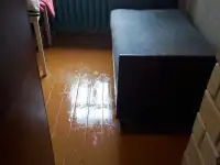 Дом в Беловежской пущи, Чепели, фотография 6