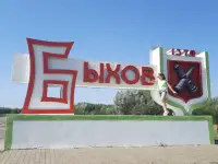 Продаю квартиру в центре г. Быхово, фотография 9