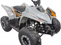 Квадроцикл Regulmoto SK11 (к-т з/ч), фотография 5