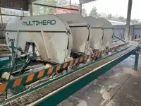Многоголовый ленточный станок Wood-Mizer Multihead MH4D12, 2007 г.в, фотография 3