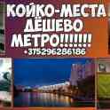 Сдам. дёшево. длительно и посуточно. койко-места. в самом центре минска. по самым низким ценам. 215 рублей, фотография 2