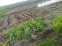 звонить с 8 до 21,, фотография 10