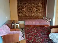 1 - комнатную квартиру сдаю, метро Пушкинская, фотография 8