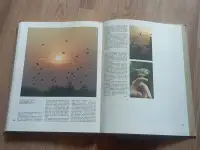 Книга Проселки (В. Песков, 1987 год), фотография 2