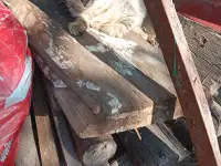 Котенок в дар, фотография 10