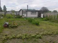Дача участок в д.Загорины, фотография 3