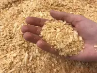 Опилки