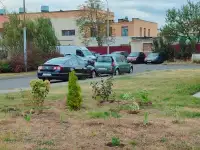 Административно-торгового помещение, Ленина 49а, фотография 2