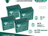 Комплект тяговых гелевых аккумуляторов 6-DZF-20 (48V20A/H C2)