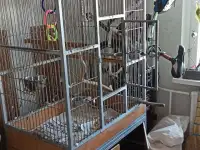 клетка для большого попугая, фотография 2