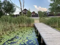 Агроусадьба Дворище на берегу озера посуточно, фотография 2