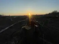 Благоустройство приусадебных участков, фотография 2