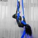 Pole dance, Exotic, Воздушная акробатика (кольцо, полотна, сеть, стропы, трапеция), фотография 7