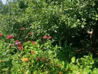 Продам дачу, район с/т Промстроитель, фотография 3
