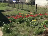 Продаётся дом, д. Дворец, Гомельская обл.,Рогачевский р-н