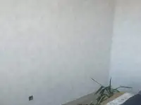 Услуги, фотография 5