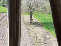 Дача в добрые руки, Ивановская роща, за ж/д путями., фотография 7