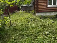Продаётся дом.Озеро во дворе.ловля рыбы с пирса, Бешенковический район Островно, фотография 4