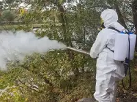 Уничтожение насекомых и грызунов по всей Беларуси