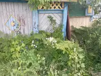 Продажа дома д. Дуяновка ул. Советская  д 94, фотография 4