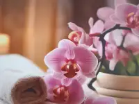 Массаж тела