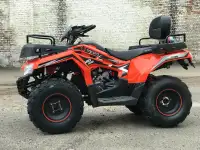 Квадроцикл Yacota Cabo 200cc, фотография 3