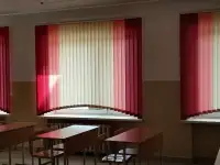 Жалюзи  рольшторы, горизонтальные, вертикальные, день-ночь, фотография 7