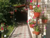 Отдых в Браславе