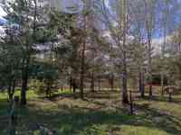 Продам участок в с/т. Криничное-94 (Столбцы), фотография 4