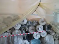 Спанбонд 35 г/м3, 800 м2, фотография 3