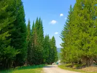 Куплю или возьму в аренду землю, область