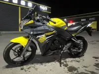 Мотоцикл Racer Skyway RC300CS, фотография 5